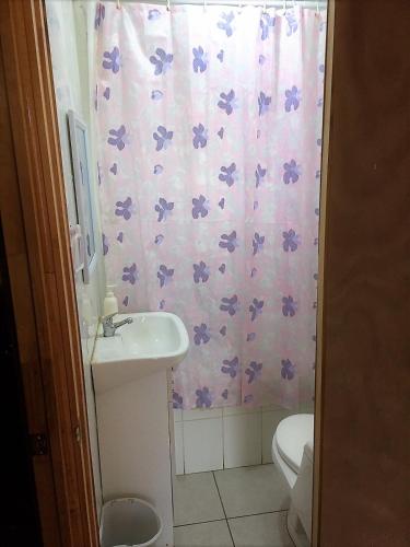a bathroom with a sink and a shower curtain at Cabaña a pasos del mar in El Cerrillo