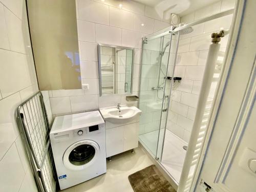 a bathroom with a washing machine and a sink at Charmant 3 pièces in Saint-Claude
