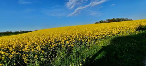 Haus Panorama - Kleines Sternchen photo 28
