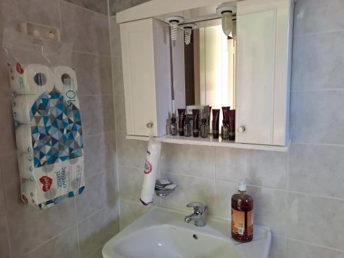 Karmiris family apartment with sea view for 6persons