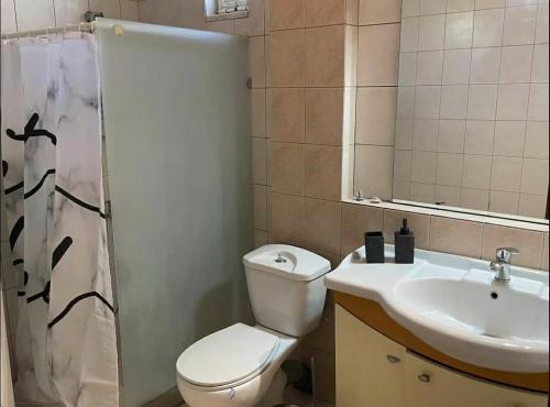 a bathroom with a toilet and a sink at Zoes apartments in Orestiada