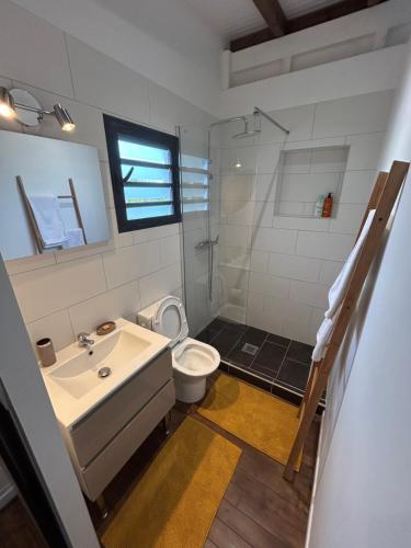 a bathroom with a sink and a toilet and a shower at Bungalow cocon des alizés in Les Abymes