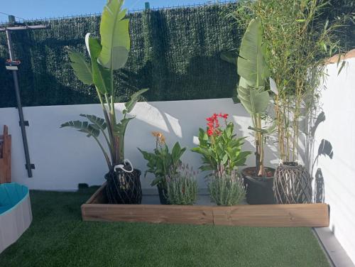 El Refugio de MELKART