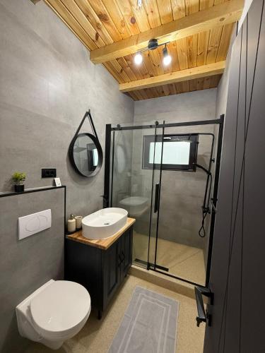 a bathroom with a toilet and a sink and a shower at Zen Resort and Winery in Slănic