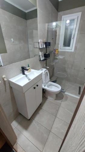 a bathroom with a toilet and a sink and a shower at Christina Apartment 2 in Drama