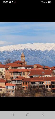 Pogled na planinu ili pogled na planinu iz pansiona