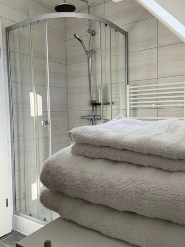 a bedroom with a glass shower with towels on a bed at AdiFerienwohnung in Gerolstein