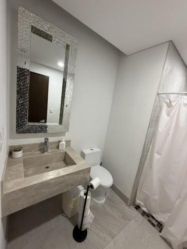 a bathroom with a sink and a toilet and a mirror at Apartment in Torre Empiria in Torreón