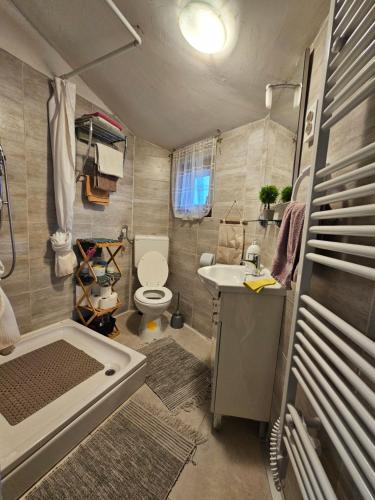 a bathroom with a toilet and a sink and a tub at Imanje Pelko in Zlatar Bistrica