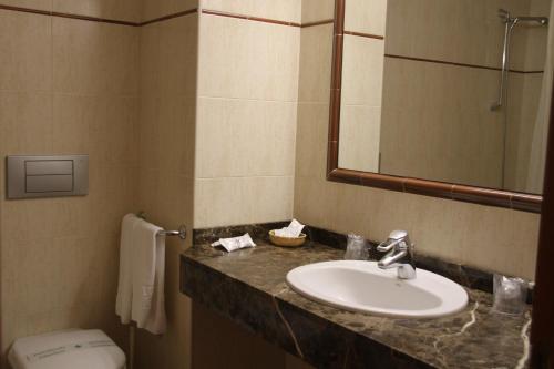 La salle de bains est pourvue d'un lavabo, de toilettes et d'un miroir. dans l'établissement Hotel Soldeu Maistre, à Soldeu