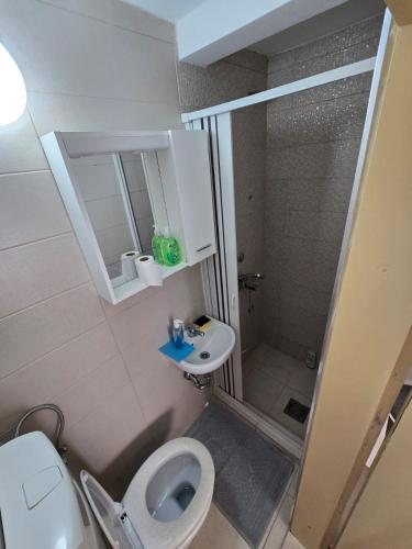 a bathroom with a toilet and a sink and a shower at Apartman Stari grad, Budva in Budva