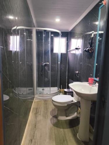 a bathroom with a toilet and a shower and a sink at Refugio PARQUE NACIONAL ALERCE ANDINO in Puerto Montt