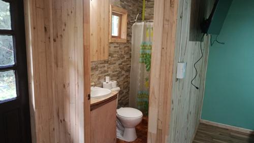 a bathroom with a toilet and a sink at Cabaña monoambiente N 2 in Chaitén