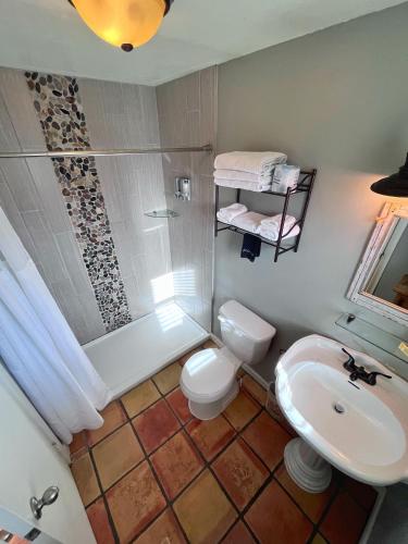 a bathroom with a shower and a toilet and a sink at La Veta Inn in La Veta