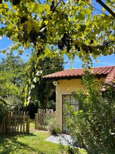 a small house with a fence in a yard at Casa de Vilar de Rei, a tranquilidade do mundo rural in Ponte de Lima