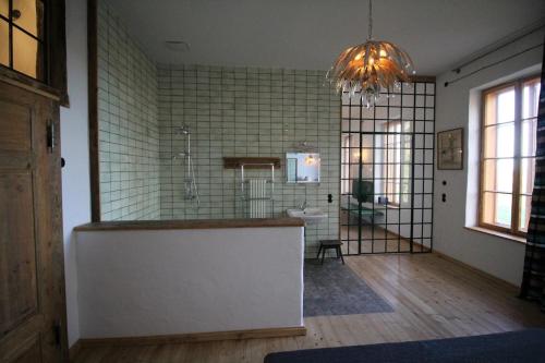 a bathroom with a shower and a sink in a room at Hydra - Gutshaus Bückling in Rambin