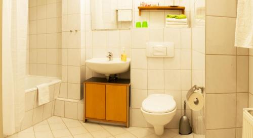 a bathroom with a toilet and a sink at Apartment Alaune in Dresden