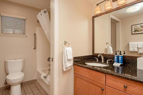 a bathroom with a toilet and a sink and a mirror at WorldMark Angels Camp in Angels Camp