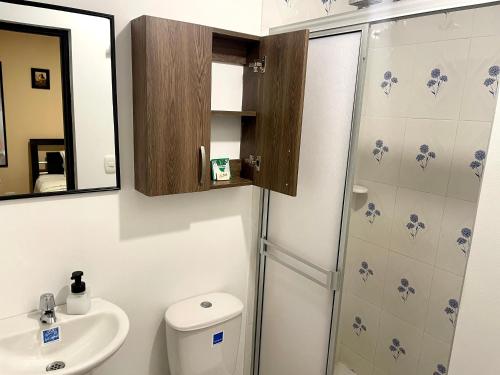 a bathroom with a shower and a toilet and a sink at Casa Bachué Hotel Boutique in Chía