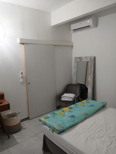 a bedroom with a bed and a mirror and a chair at Appartement Fleur De Lys in Fort-de-France