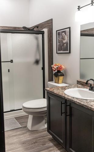a bathroom with a toilet and a sink and a shower at Polar Den Cabin in Valemount