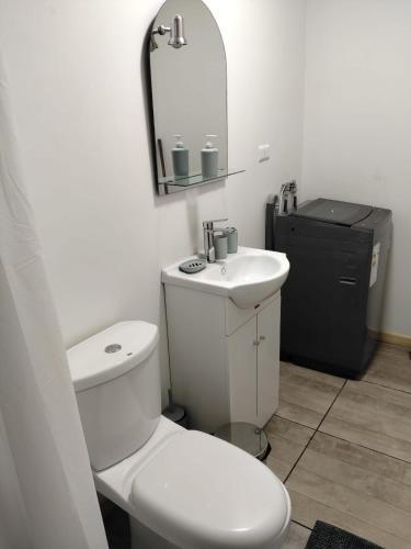 a bathroom with a toilet and a sink and a mirror at Cabañas Haru Puerto Natales in Puerto Natales
