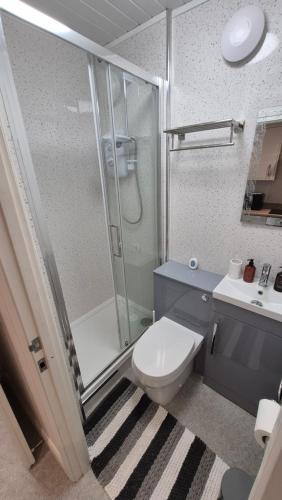 a bathroom with a shower and a toilet and a sink at Sleek 1 Bed Flat near Warwick Castle with Parking in Warwick