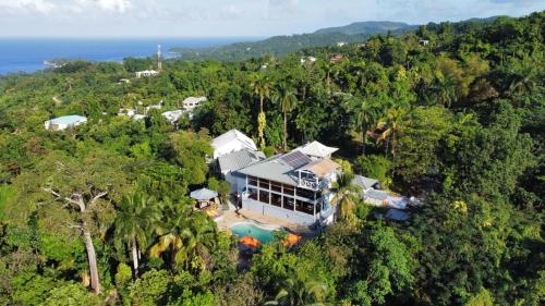 LF Jungle Retreat