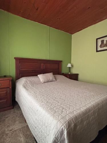 a bedroom with a bed and green walls at Carpe diem CyC in Chascomús