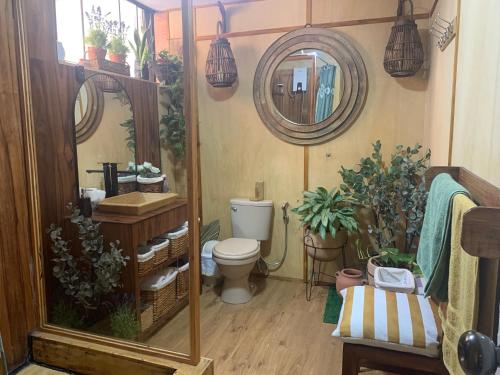 a bathroom with a toilet and a mirror and plants at Ma maison peruvienne- departamento muy cerca aéropuerto in Lima