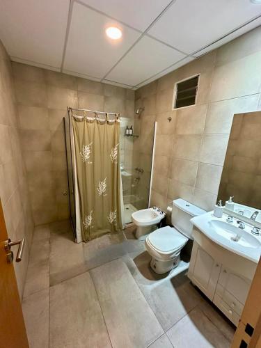 a bathroom with a toilet and a sink and a shower at Concepcion Apart in Concepción