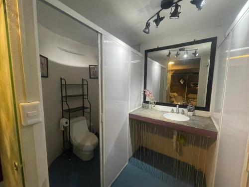 a bathroom with a sink and a toilet and a mirror at Casa Maruja CoLiving Walk to Beach in Puerto Vallarta