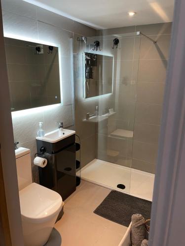 a bathroom with a shower and a toilet and a sink at The Old Quarry Hideaway in Cowling
