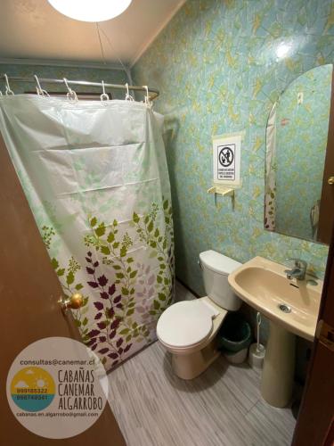 a bathroom with a toilet and a sink and a shower curtain at cabañas canemar in Hueyilemu