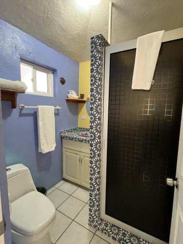 ein blaues Badezimmer mit Toilette und Dusche in der Unterkunft Coco Cabanas Loreto in Loreto