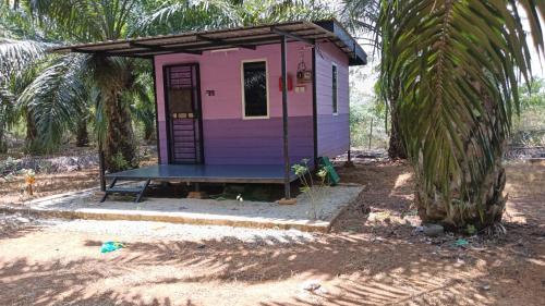a pink and purple house sitting between two palm trees at Homestay Casa Cinta Pendang in Pendang