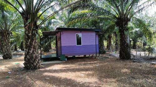 a purple tiny house between two palm trees at Homestay Casa Cinta Pendang in Pendang