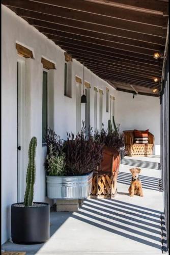 a dog sitting on the porch of a house at Ramsey 29 in Twentynine Palms