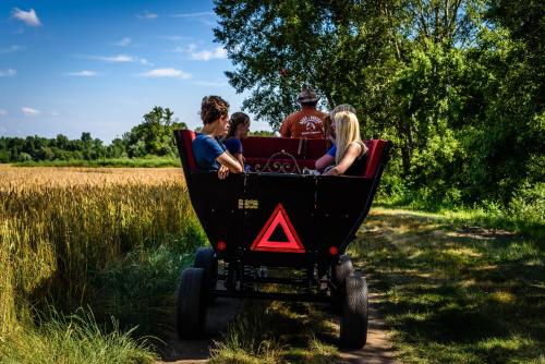 a group of people riding in a cart at Rezort u Bobiho in Nový Tekov