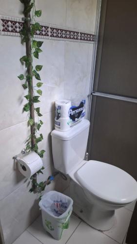a bathroom with a toilet and a plant on the wall at Kitnet Duplex Ibiúna in Ibiúna