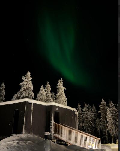 a building with the aurora in the sky next to trees at NOA VILLAS Aurora Lapland Resort in Takala