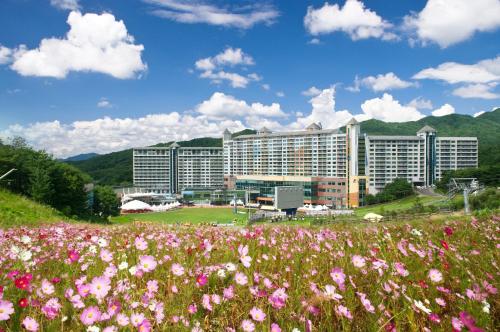 a field of flowers in front of a hotel at Wellihilli Park Resort in Hoengseong