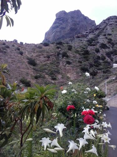 Pemandangan gunung umum atau pemandangan gunung yang diambil dari apartmen