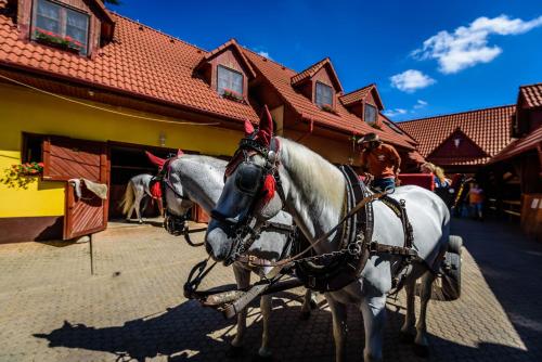 two horses pulling a carriage in front of a building at Rezort u Bobiho in Nový Tekov
