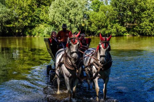 a group of people riding in a horse drawn carriage in the water at Rezort u Bobiho in Nový Tekov