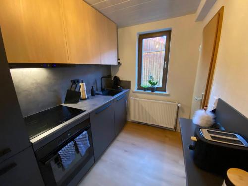 a kitchen with a sink and a stove top oven at Forrest Lounge Schweina in Bad Liebenstein