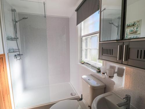 a bathroom with a shower and a toilet and a sink at Old Higher Lighthouse Branscombe Lodge in Southwell