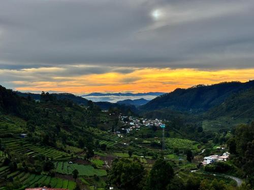 Kodai Hillscape