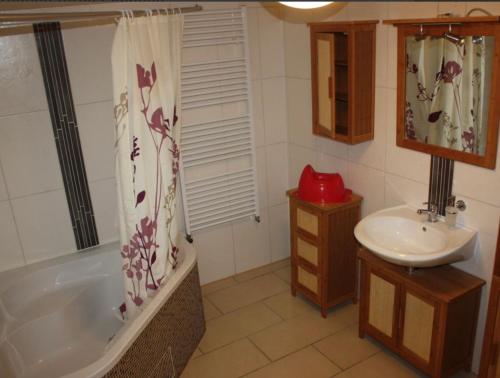 a bathroom with a tub and a sink at zum Schilfrohr in Neuendorf