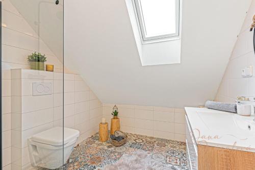 a bathroom with a toilet and a sink at Vila Ochutnej Pálavu in Pavlov
